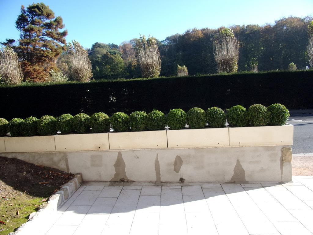 Le Petit Clos Des Camelias Veulettes-sur-Mer Exterior photo